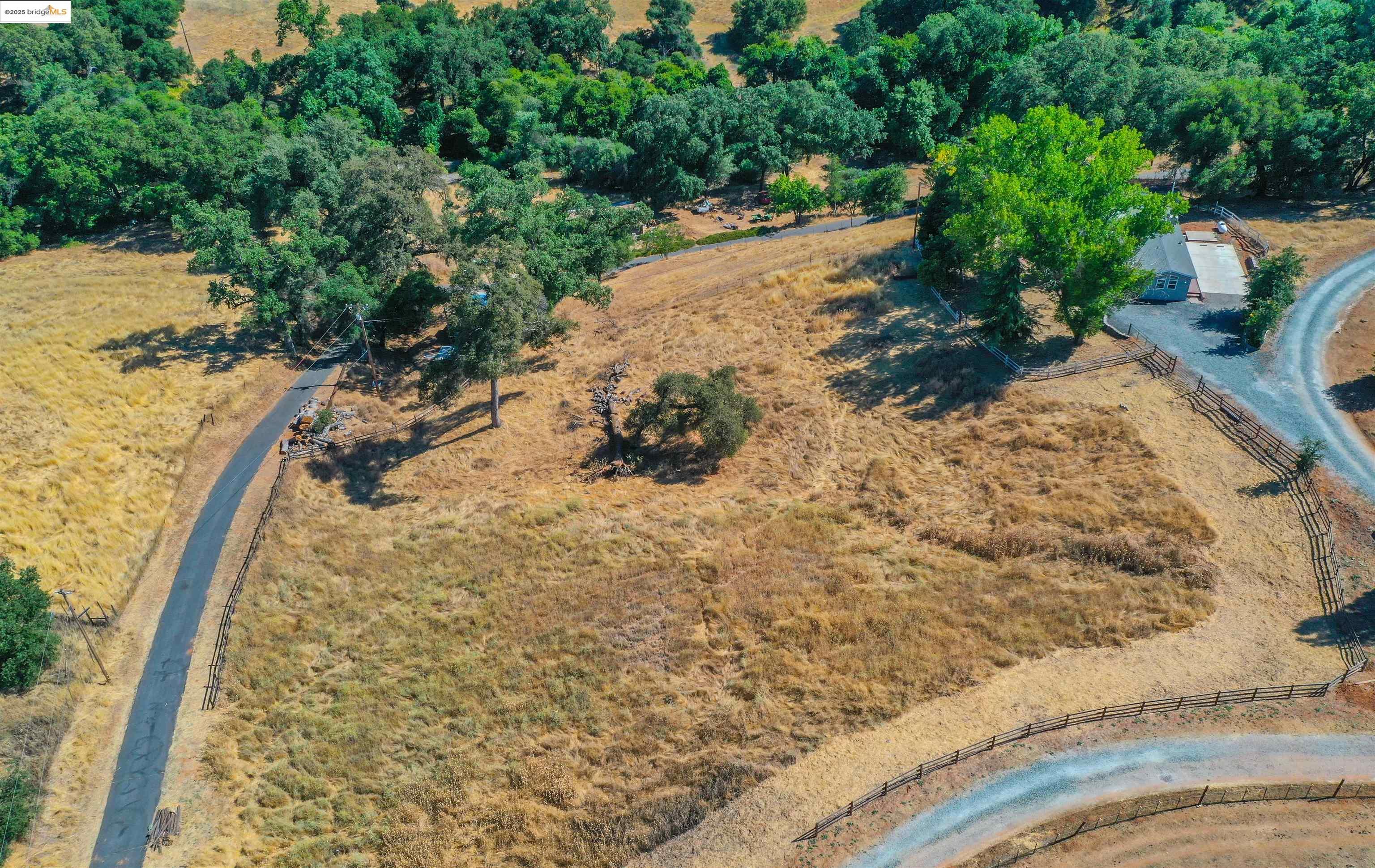 17390 Campbells Flat Road Sonora, CA 95370 - Photo 4 of 37 a view of a yard with plants