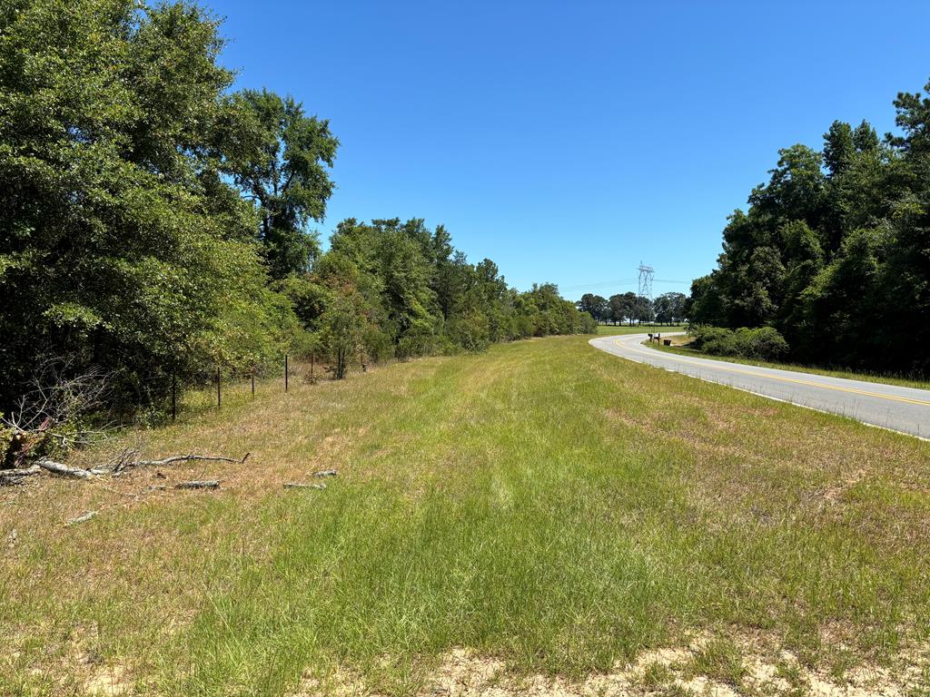 897 Buffalo Road Box Springs, GA 31801 - Photo 48 of 48 Gallery Image 48