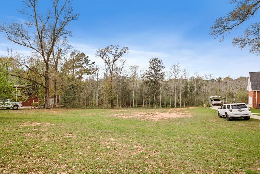 0 Riveredge Dothan, AL 36303 - Photo 2 of 3