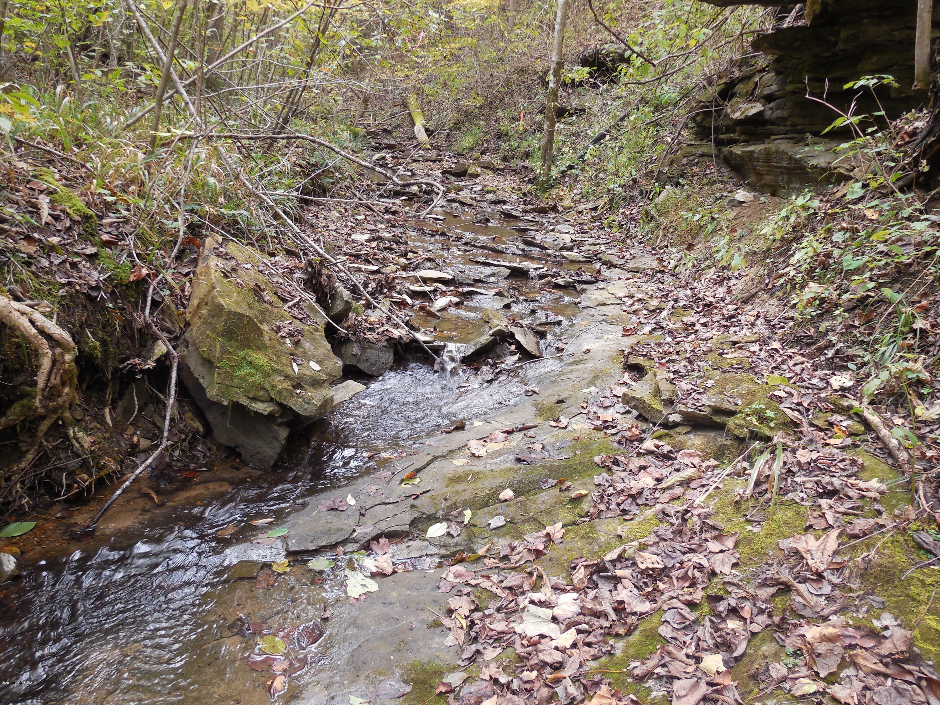 0 Corinth Road Buffalo, KY 42716 - Photo 19 of 30 DSCN1780