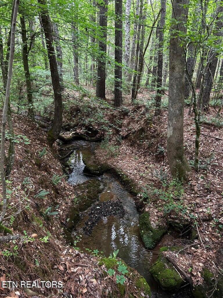 Ballplay Rd Road Madisonville, TN 37354 - Photo 5 of 8 BP5