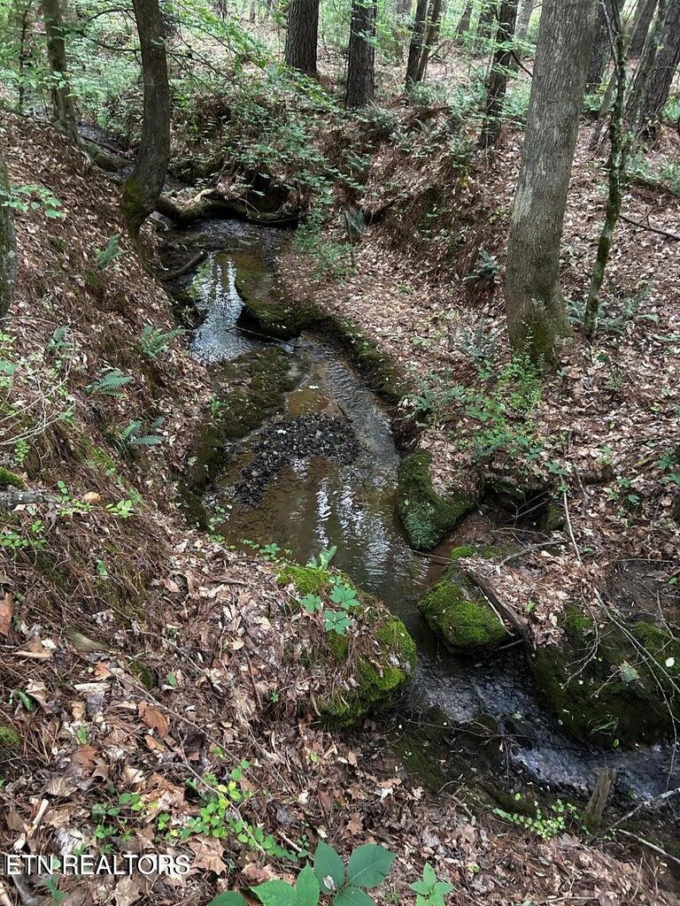 Ballplay Rd Road Madisonville, TN 37354 - Photo 6 of 8 BP4
