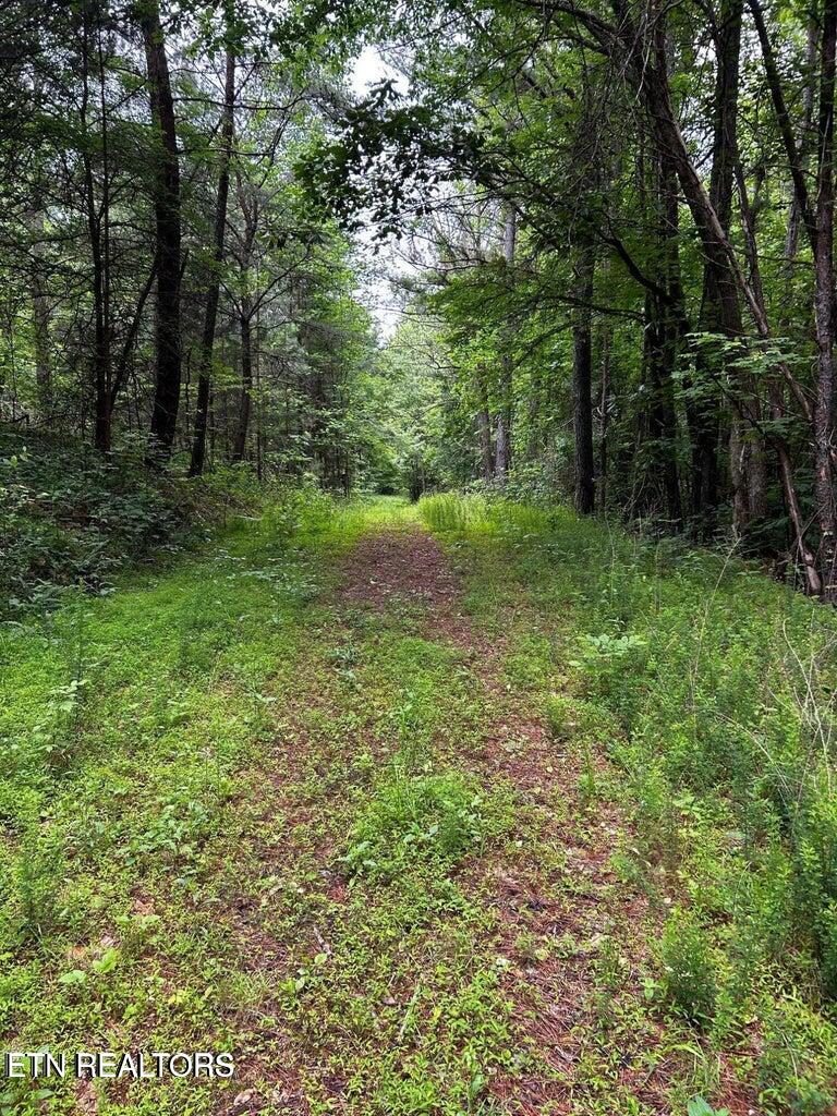 Ballplay Rd Road Madisonville, TN 37354 - Photo 8 of 8 BP1