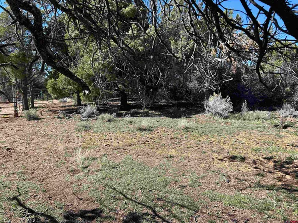 $495,000 | 16493 Road 30.7, Dolores, CO 81323