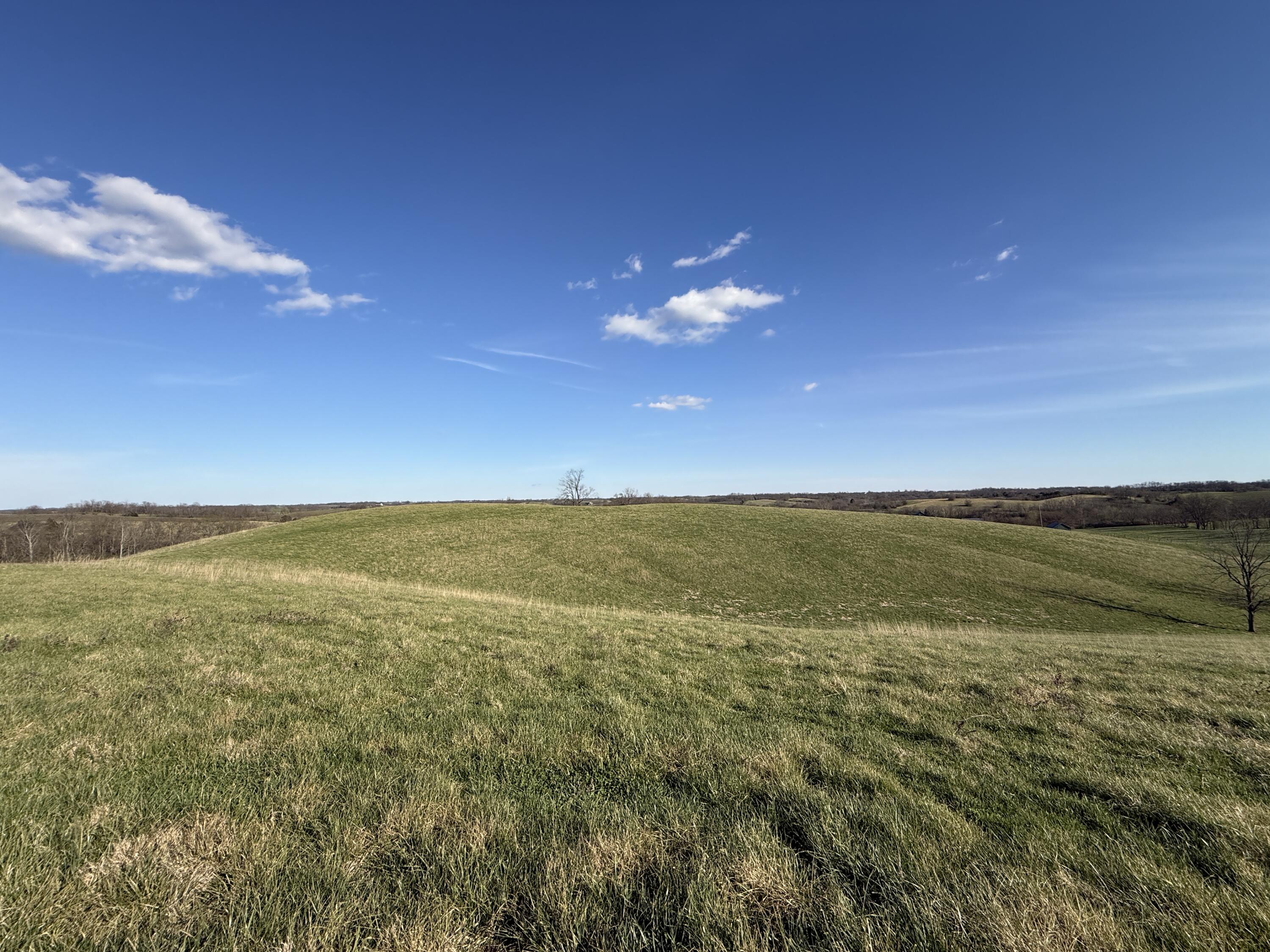 973 Levy Road Paris, KY 40361 - Photo 52 of 91 field pic