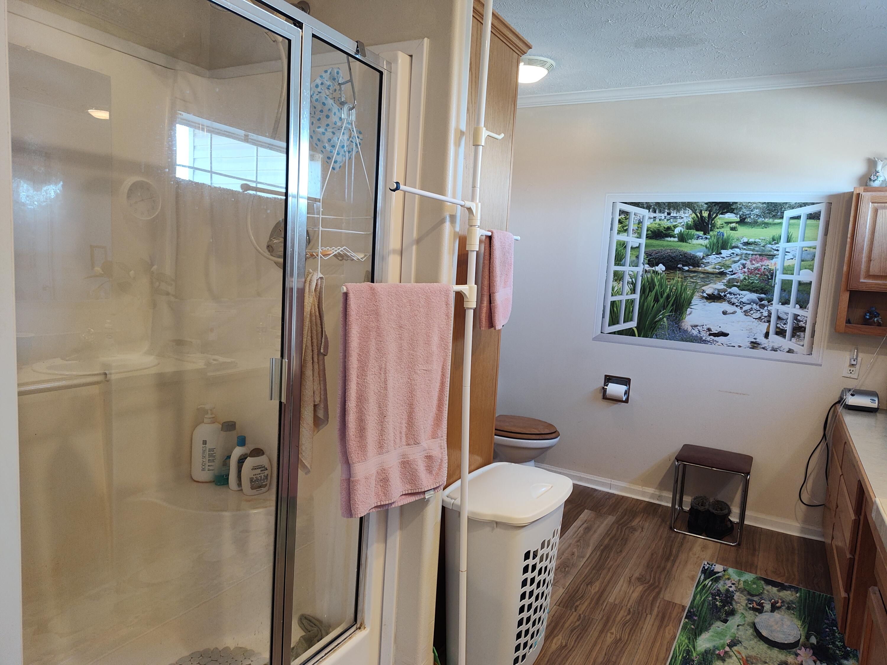 1672 East 355th Road Bolivar, MO 65613 - Photo 38 of 92 Master bath
