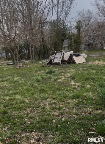 a view of a park with large trees