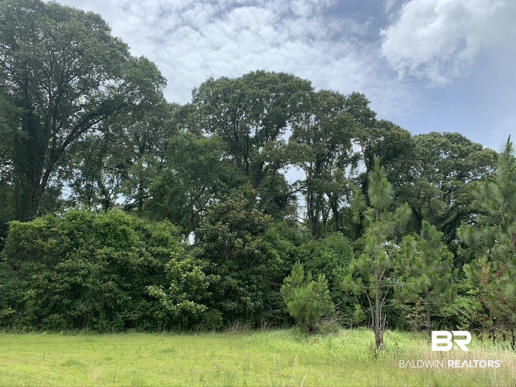 0 Box Road Semmes, AL 36575 - Photo 1 of 5