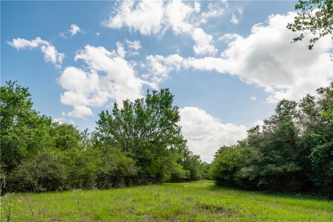 2199 Navasota Ridge Navasota, TX 77868 - Photo 5 of 30