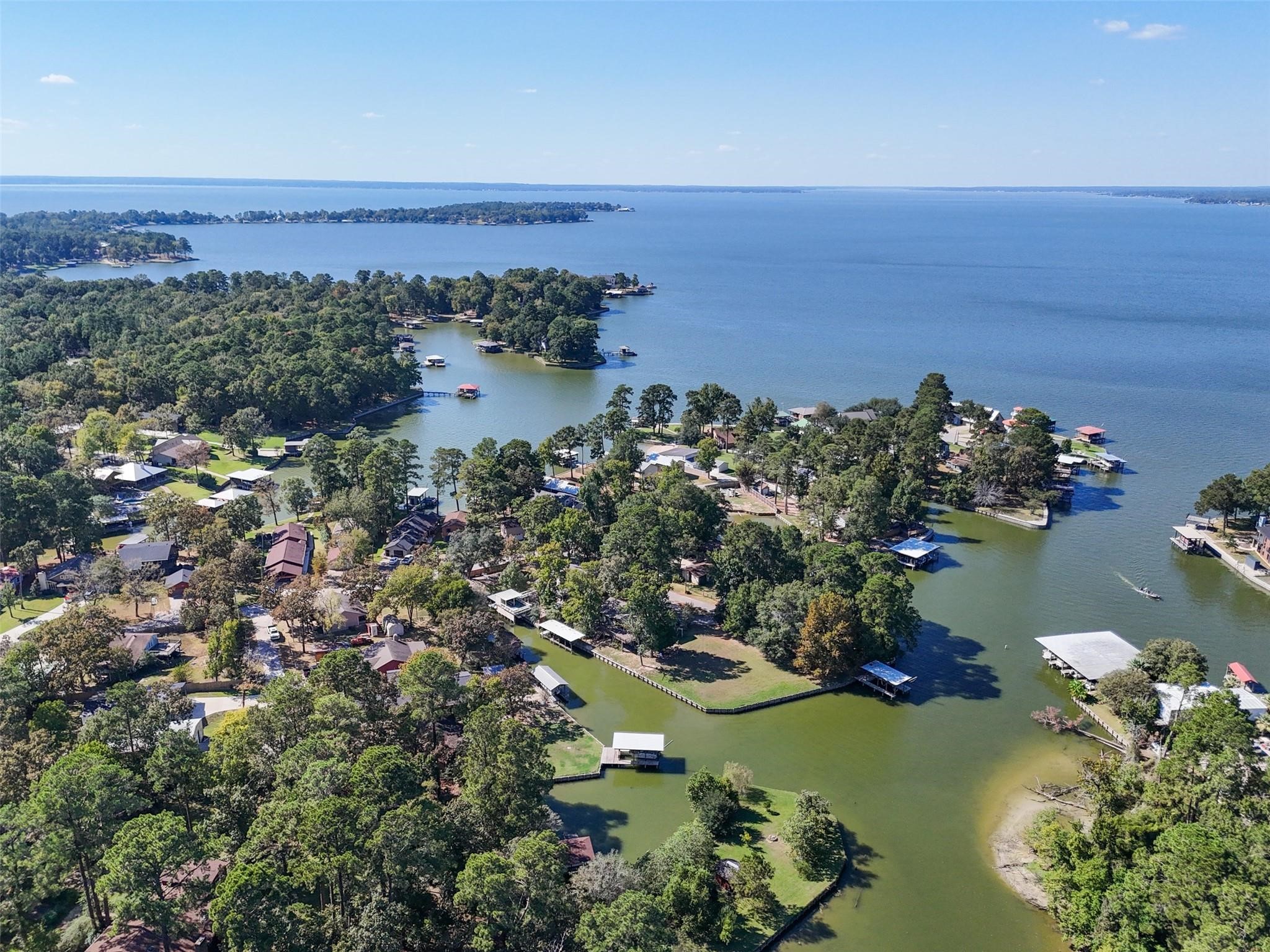 109 Teena Lane Livingston, TX 77351 - Photo 4 of 25