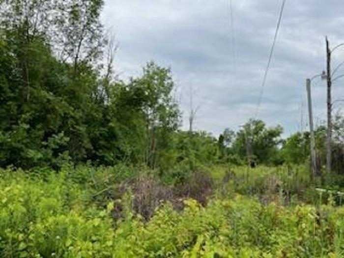 N/a North Tonkey Road Turner, MI 48765 - Photo 3 of 6