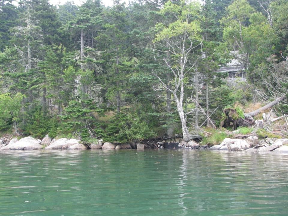 347 Minturn Road Swans Island, ME 04685 - Photo 5 of 11 Photo