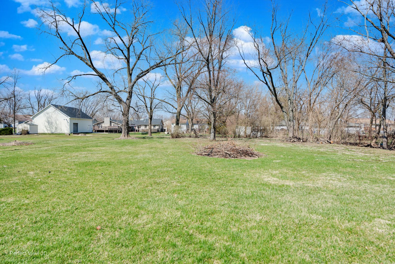 11248 193rd Street Mokena, IL 60448 - Photo 19 of 20 a view of a yard with large trees