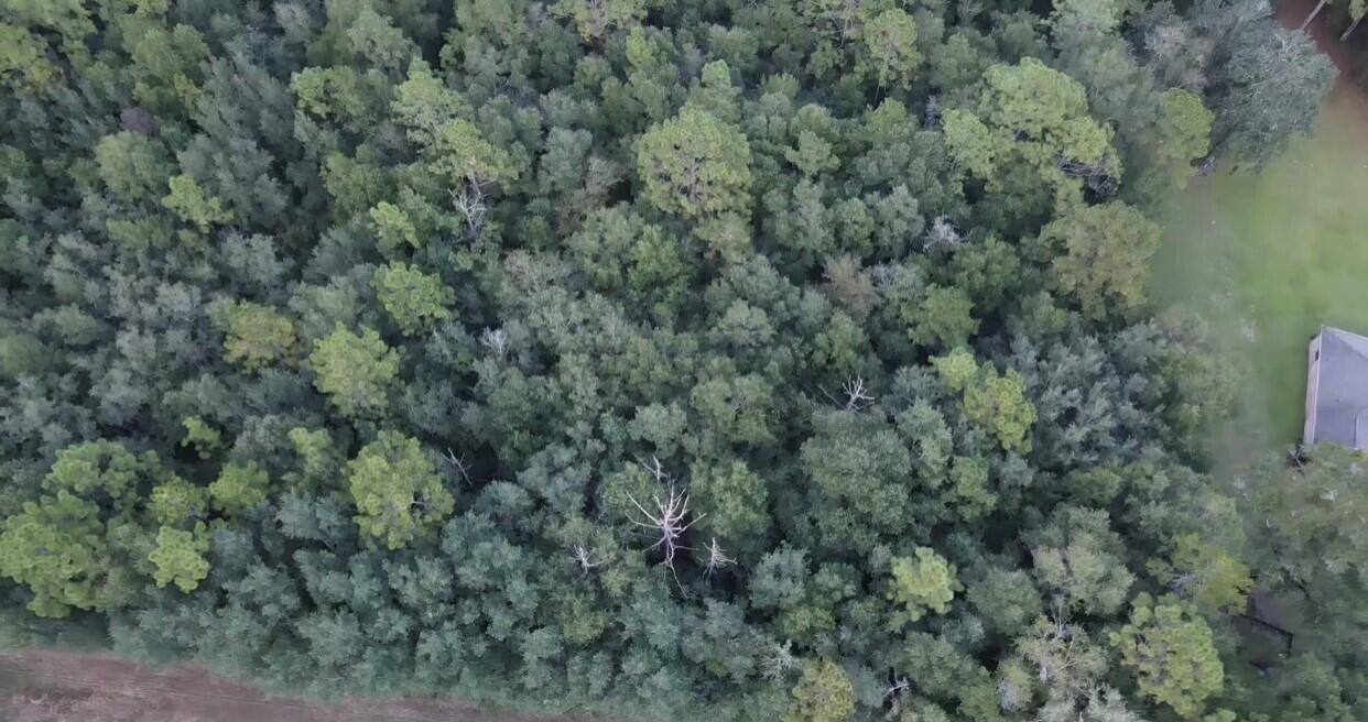 0 Jesse Medley Road Crestview, FL 32539 - Photo 2 of 3 an aerial view of a house with a yard