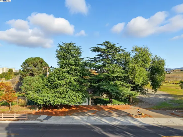 a night view of a yard