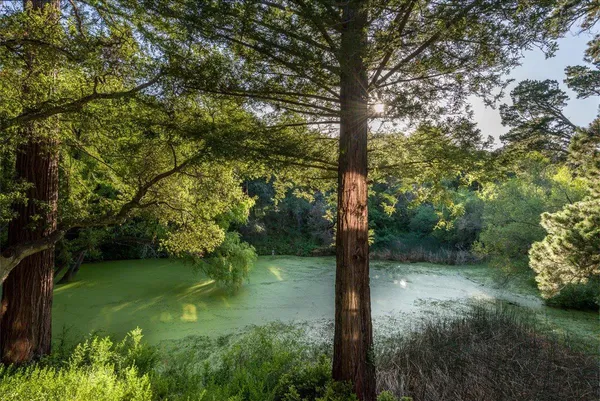 $3,995,000 | 90 Hayfields Road, Portola Valley, CA 94028