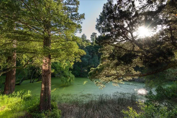 $3,995,000 | 90 Hayfields Road, Portola Valley, CA 94028