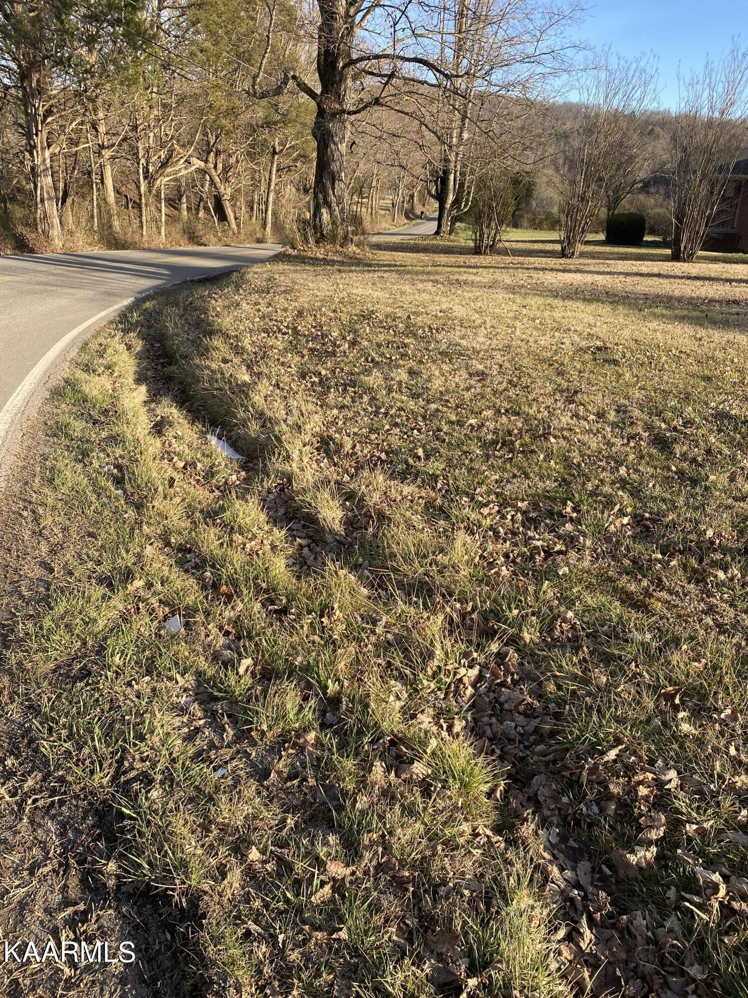 165 Raccoon Valley Road Maynardville, TN 37807 - Photo 4 of 13 Gallery Image 4