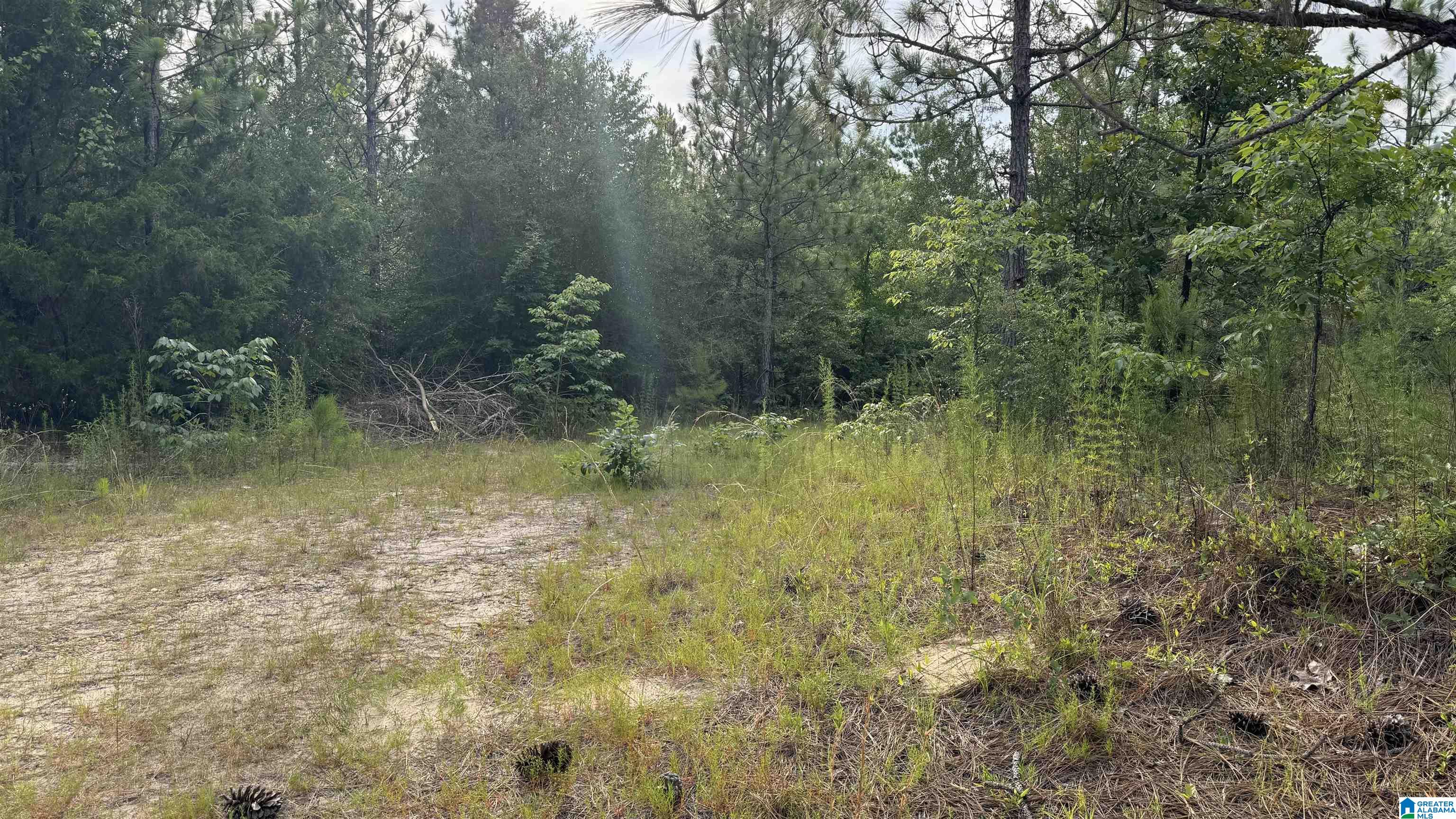 0 Midway Road Tuskegee, AL 36083 - Photo 11 of 30