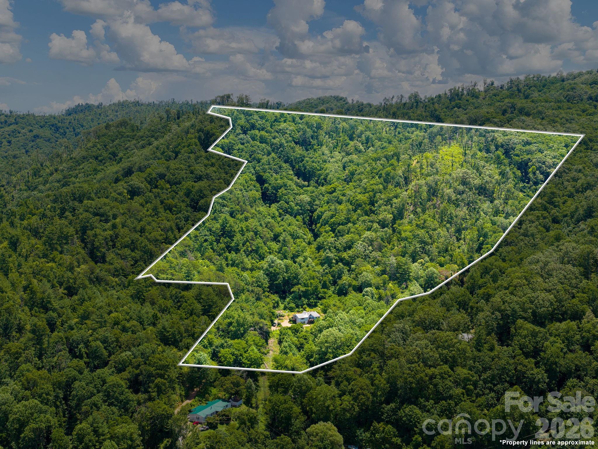 46 Perennial Ridge Weaverville, NC 28787 - Photo 42 of 44