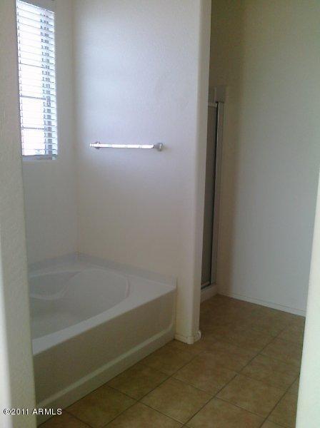 6857 West Carter Road Laveen, AZ 85339 - Photo 7 of 19 Master bath