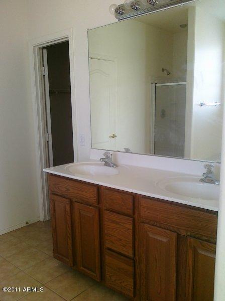 6857 West Carter Road Laveen, AZ 85339 - Photo 8 of 19 Master bath