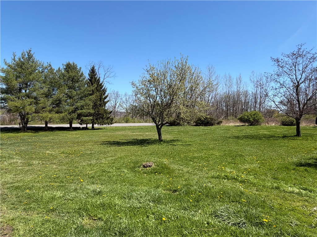 3215 Stamp Road Reading, NY 14891 - Photo 13 of 15 Front Yard