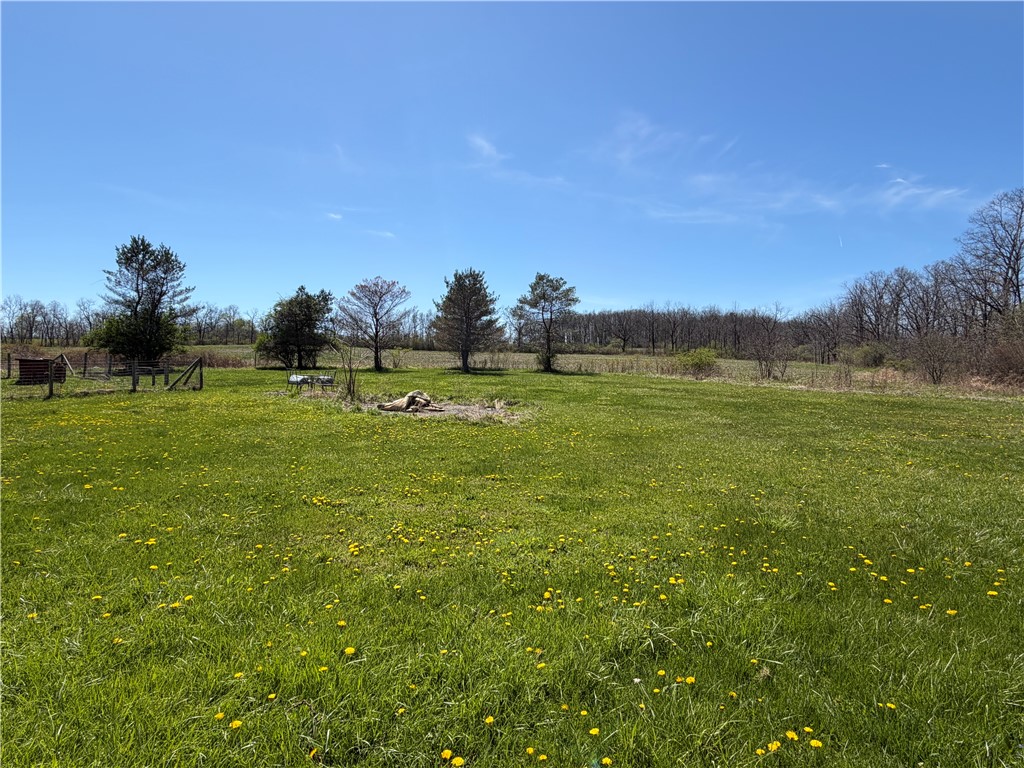 3215 Stamp Road Reading, NY 14891 - Photo 14 of 15 Backyard