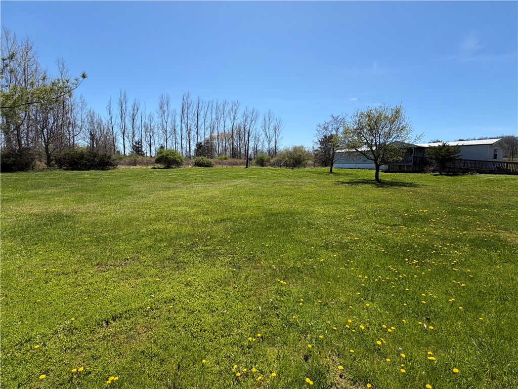 3215 Stamp Road Reading, NY 14891 - Photo 15 of 15 Front Yard View 2