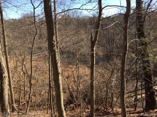 1238 Mead Road Rochester, MI 48306 - Photo 43 of 49 8.JPG