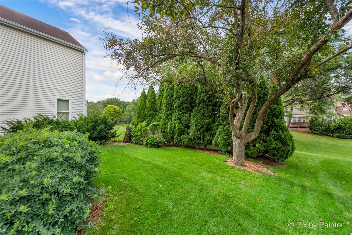 1025 Oswego Road Naperville, IL 60540 - Photo 29 of 42 a view of a backyard with plants and large trees