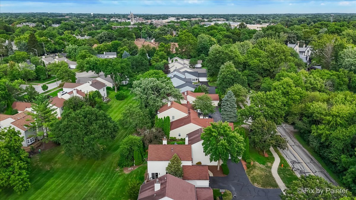 1025 Oswego Road Naperville, IL 60540 - Photo 36 of 42 an aerial view of residential houses with outdoor space and trees
