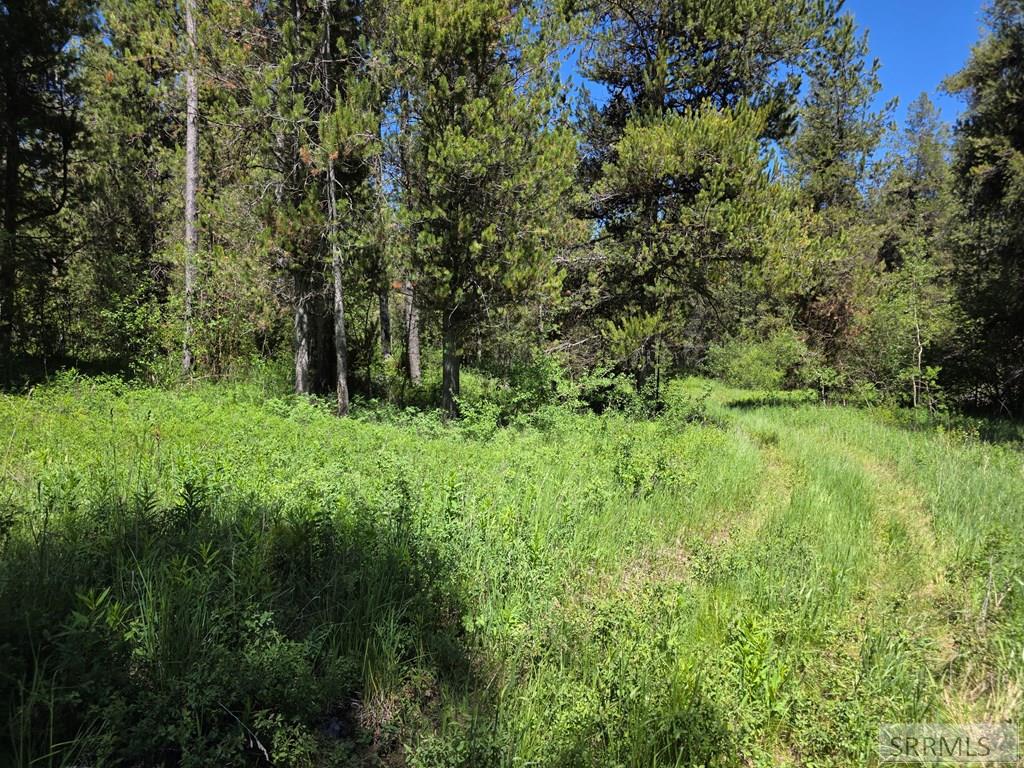 4585 East 1400 Road North Ashton, ID 83420 - Photo 21 of 31