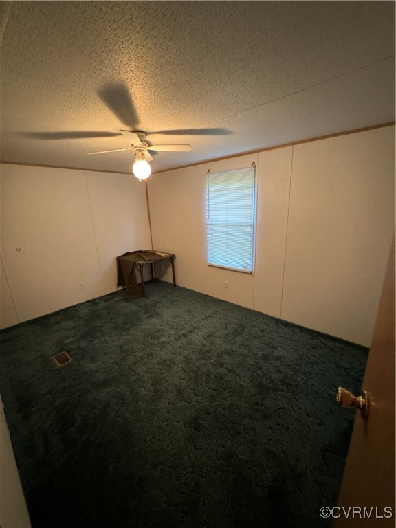 2941 Coleman Mountain Road Java, VA 24565 - Photo 26 of 26 Unfurnished room with a textured ceiling, carpet f