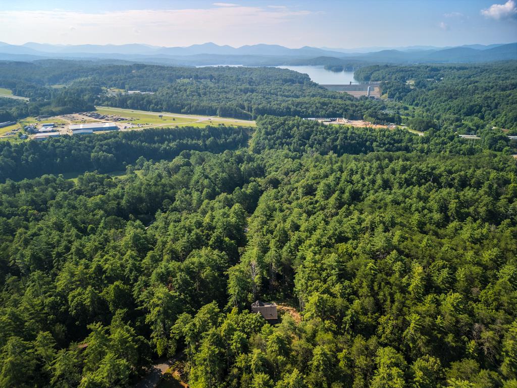345 Deer Trail Mineral Bluff, GA 30559 - Photo 33 of 36
