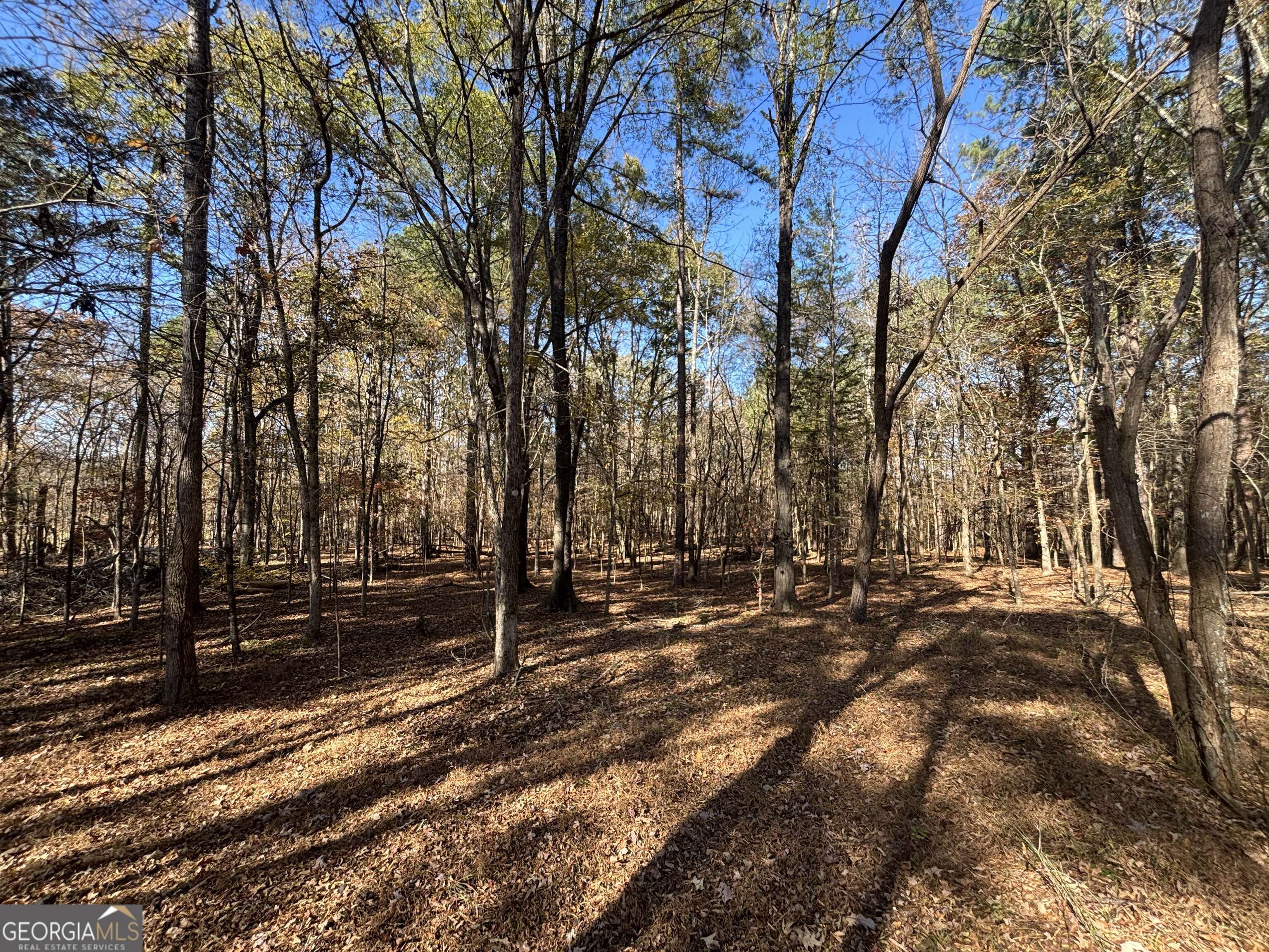 0 Oconee Road, Unit LOT 5 Buckhead, GA 30625 - Photo 12 of 18 Gallery Image 12
