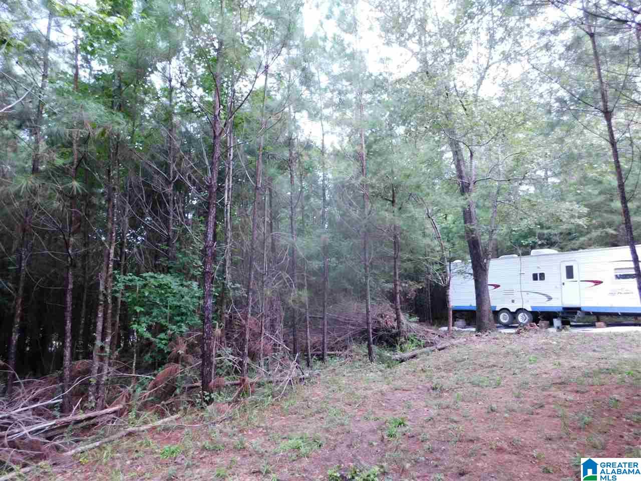 133 County Road, Unit 2 & 3 Empire, AL 35063 - Photo 10 of 15