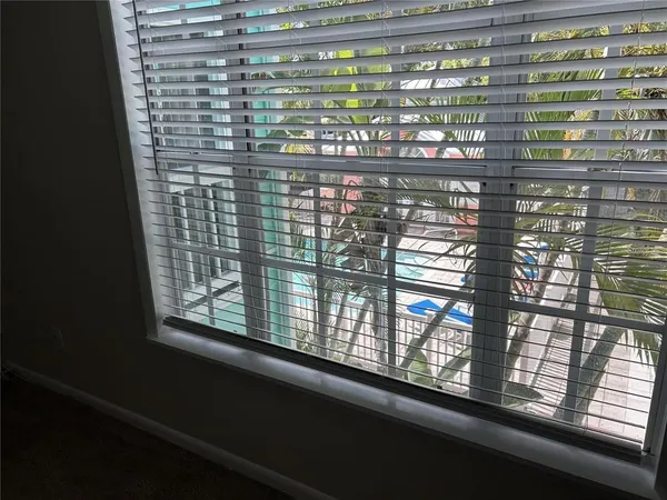 a view of a yard with plants