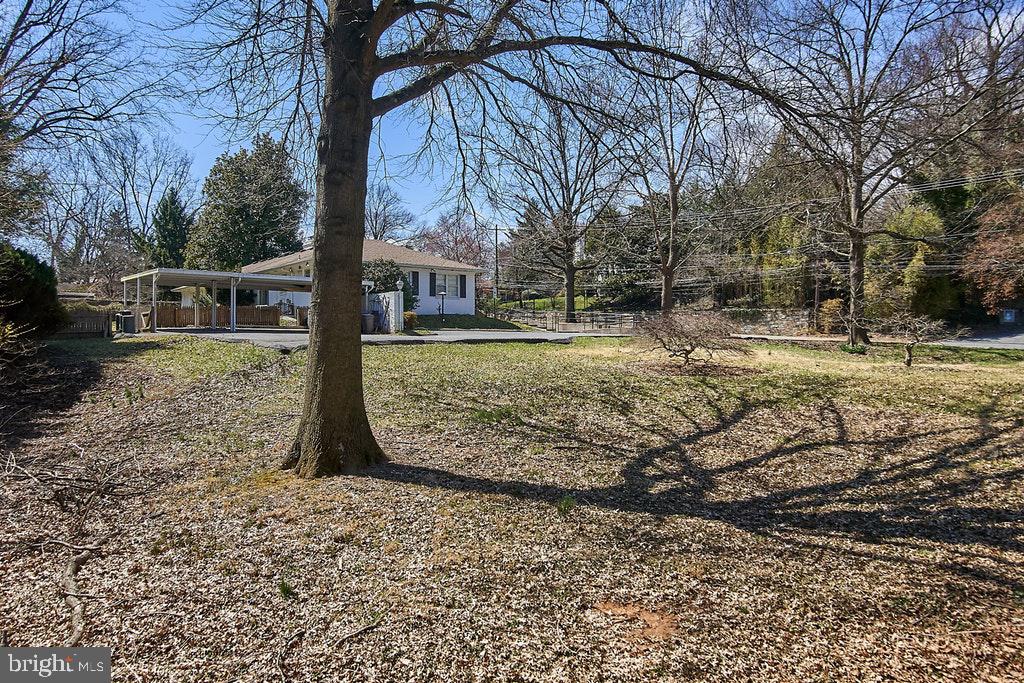 9221 Colesville Road Silver Spring, MD 20910 - Photo 7 of 13 1/3 of lot is undeveloped