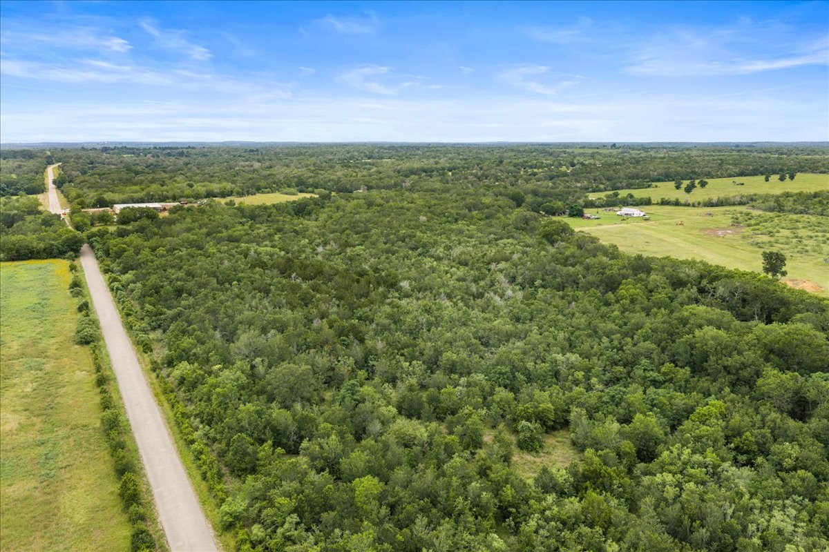 0 Charcoal Road Rosanky, TX 78953 - Photo 3 of 10