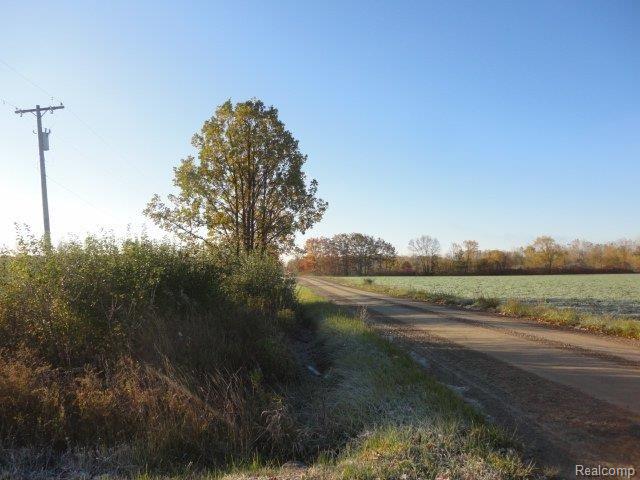 6434 Owens Road Yale, MI 48097 - Photo 33 of 33 2013-10-24 09.13.04.jpg