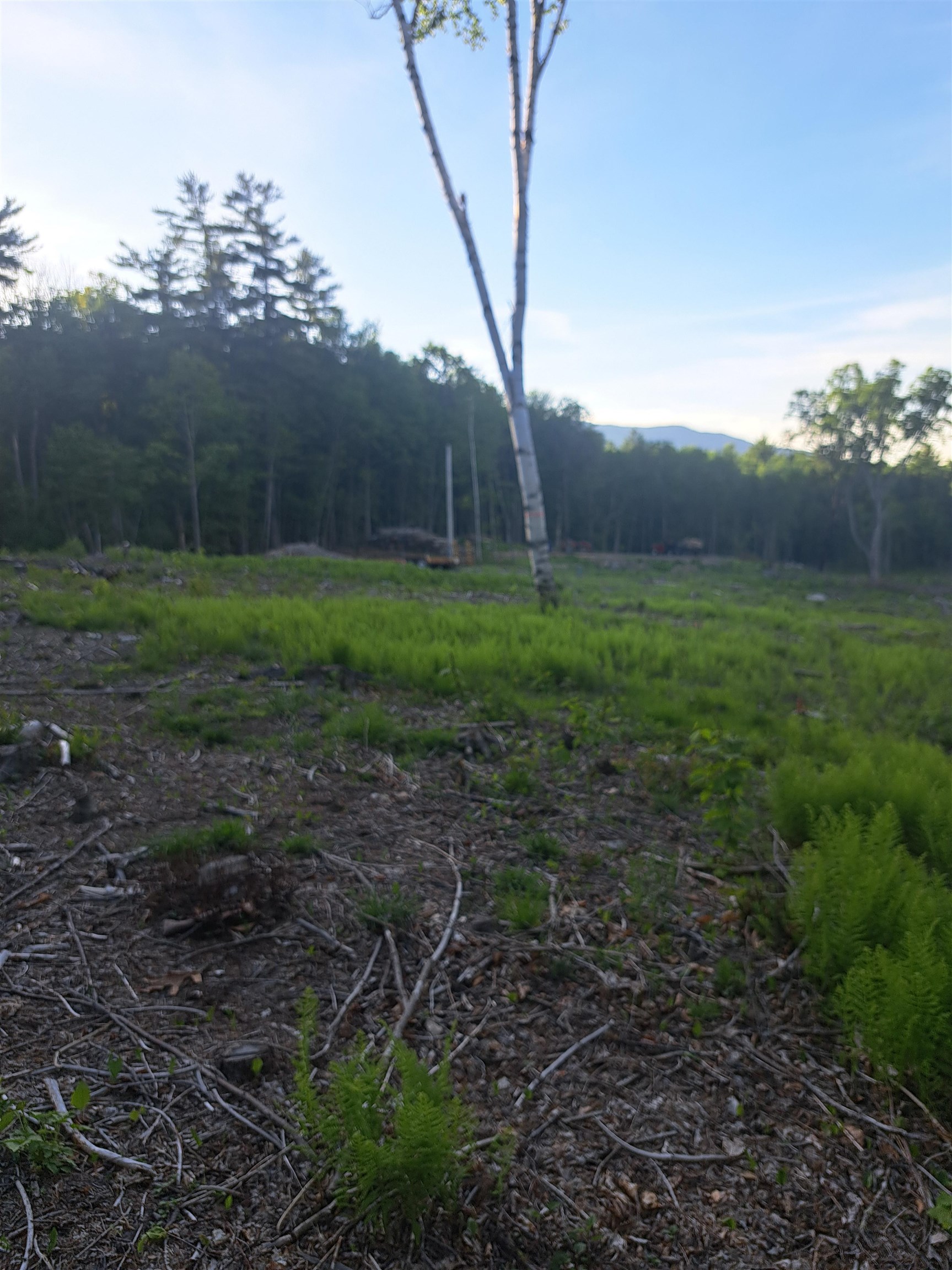 140 Great Road Jaffrey, NH 03452 - Photo 2 of 11