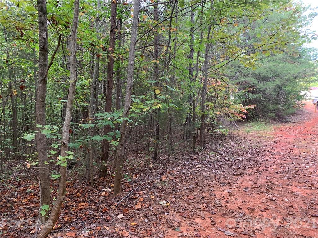 9400 Phelps Road Mount Pleasant, NC 28124 - Photo 2 of 6 a view of a forest with trees in the background