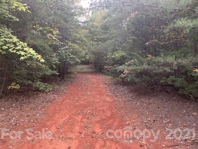 9400 Phelps Road Mount Pleasant, NC 28124 - Photo 5 of 6 a view of a yard with a tree