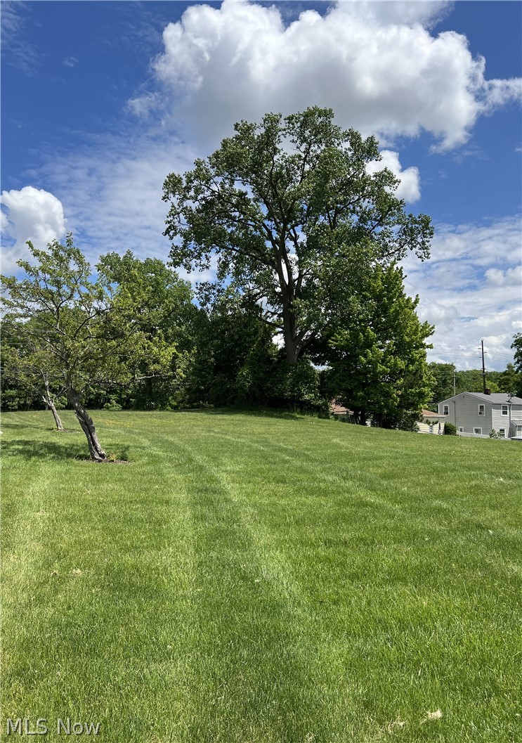 7264 Ridge Road Cleveland, OH 44129 - Photo 1 of 3 Front Yard on Single Family Lot