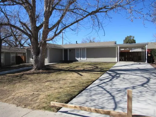 a view of a large trees in front of a house