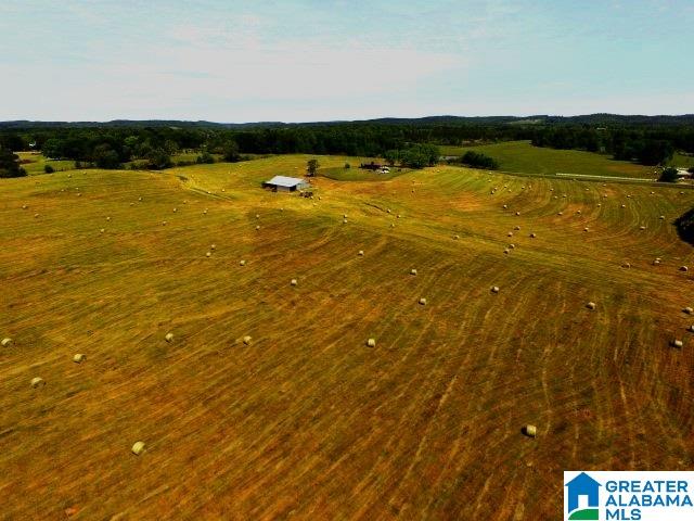 1093 High Pine Road Ashland, AL 36251 - Photo 7 of 36