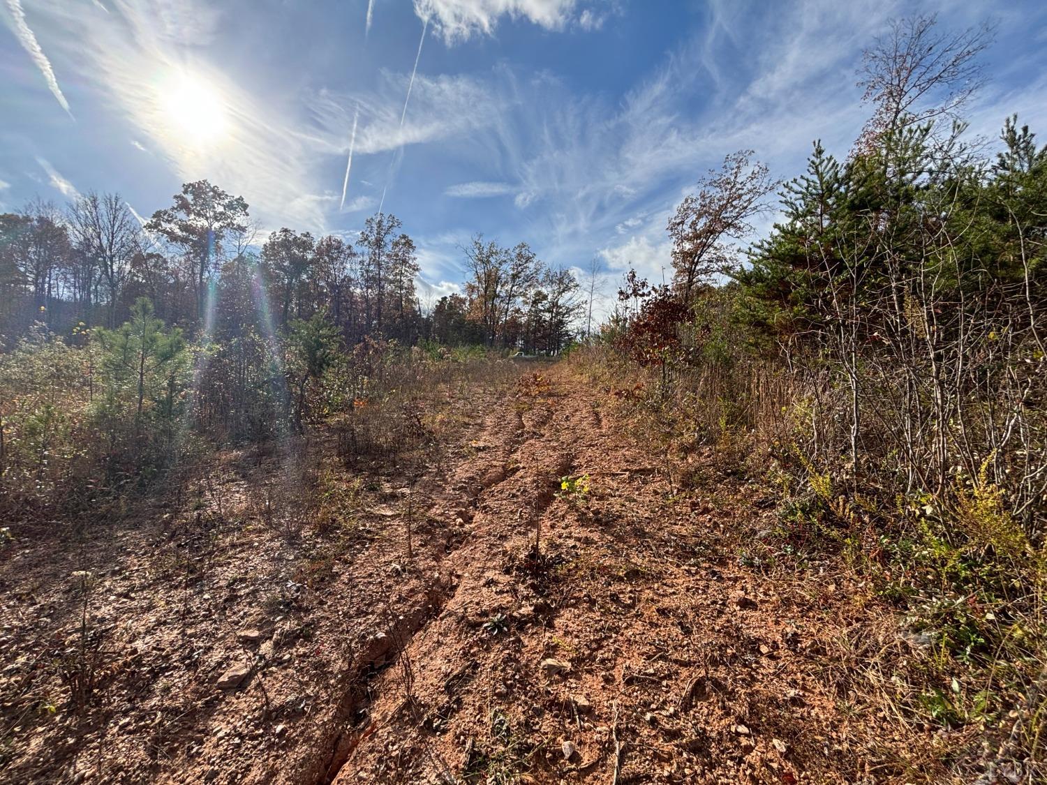 0 Colemans Mill Road Gladstone, VA 24553 - Photo 5 of 5 a view of a yard with plants and trees