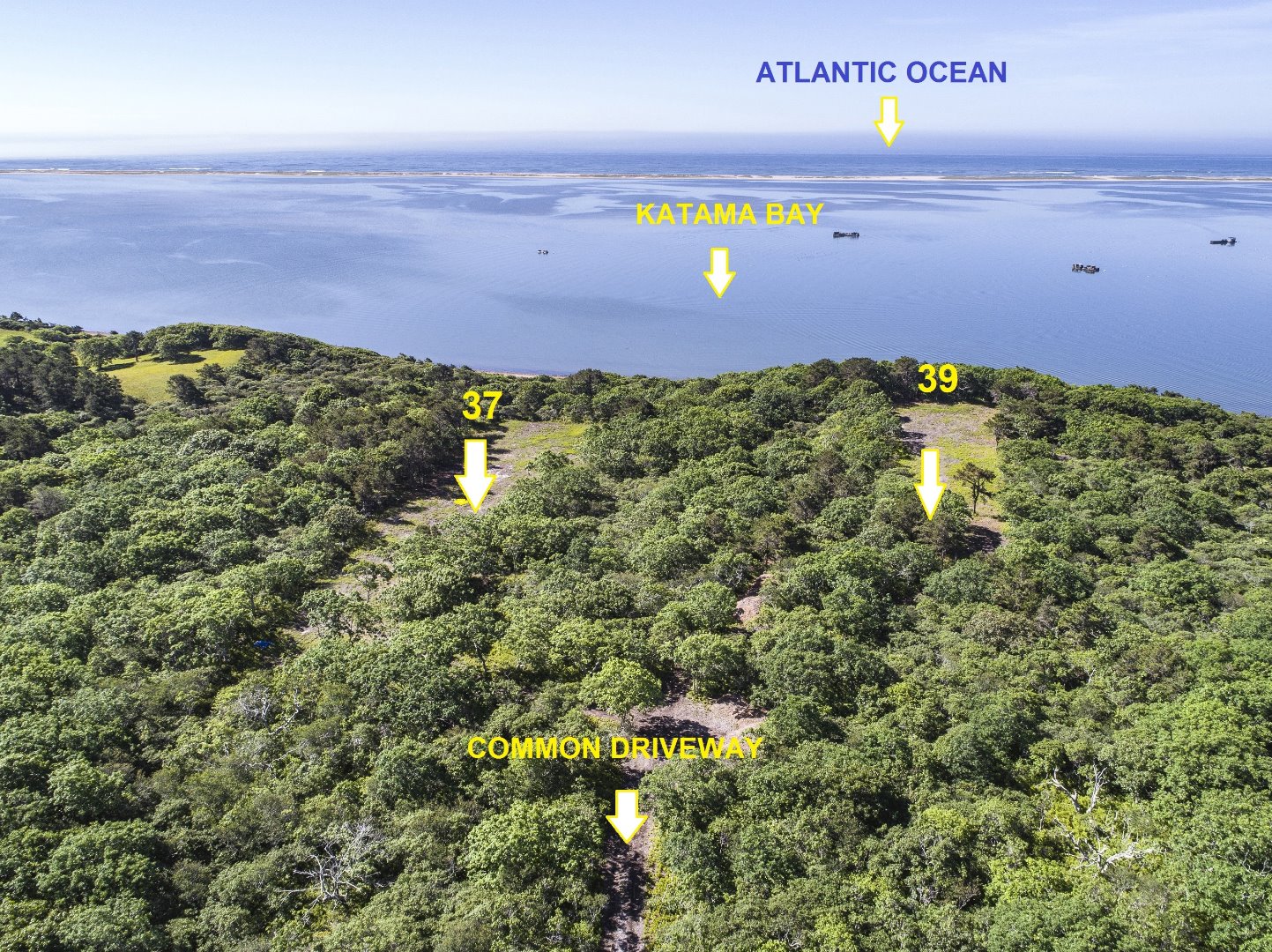 a view of a green field