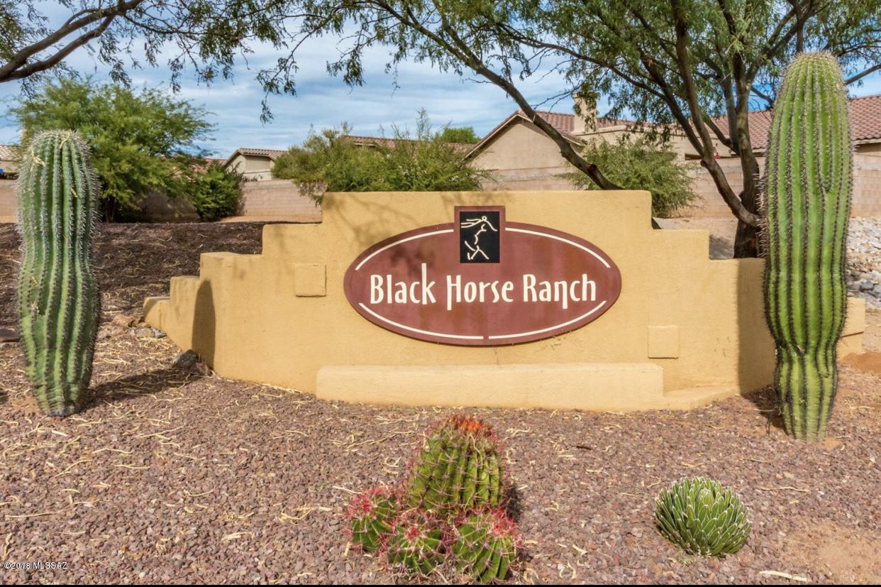 3588 East Mecate Road Tucson, AZ 85739 - Photo 33 of 36 a sign board with water view
